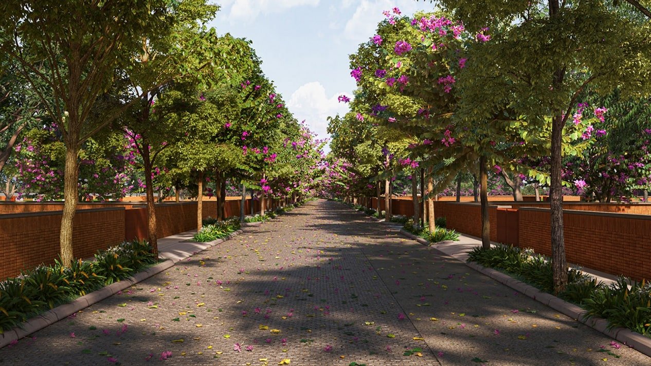 Total Environment Tangled Up in The Greens