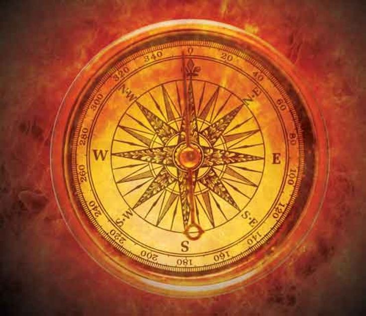 TOTAL Environment tangled up in the green